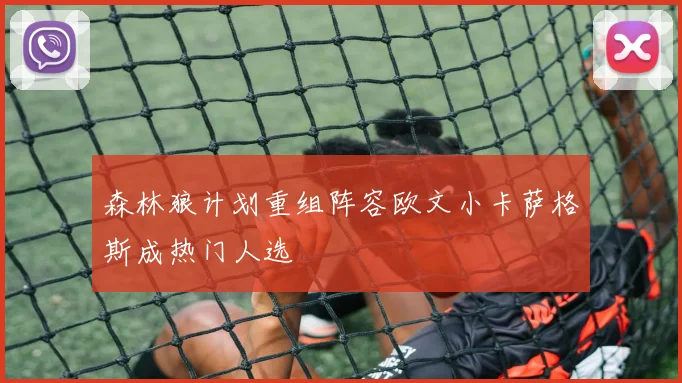 森林狼计划重组阵容欧文小卡萨格斯成热门人选